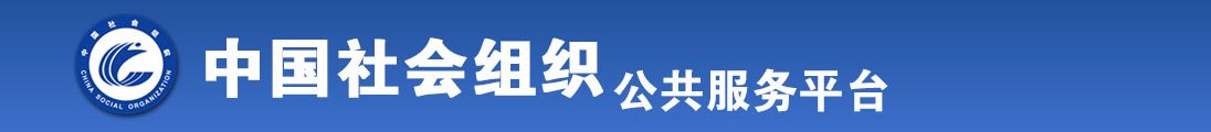 大鸡巴插逼逼刺激视频全国社会组织信息查询